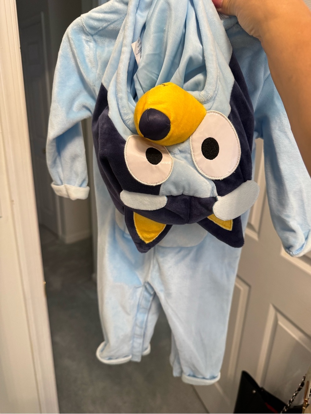 Bluey Costume